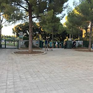 B&B Parco 2 Giugno